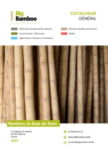 catalogue bigbamboo